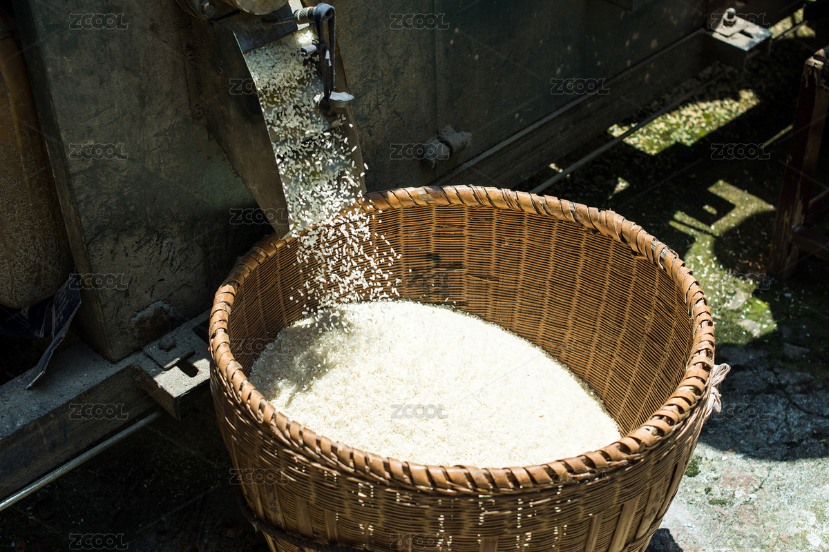 新碾的大米在籮筐里（主預(yù)覽-9110445） - 未分類 - 站酷設(shè)計(jì)師風(fēng)暴麗麗原創(chuàng)素材 - 站酷ZCOOL