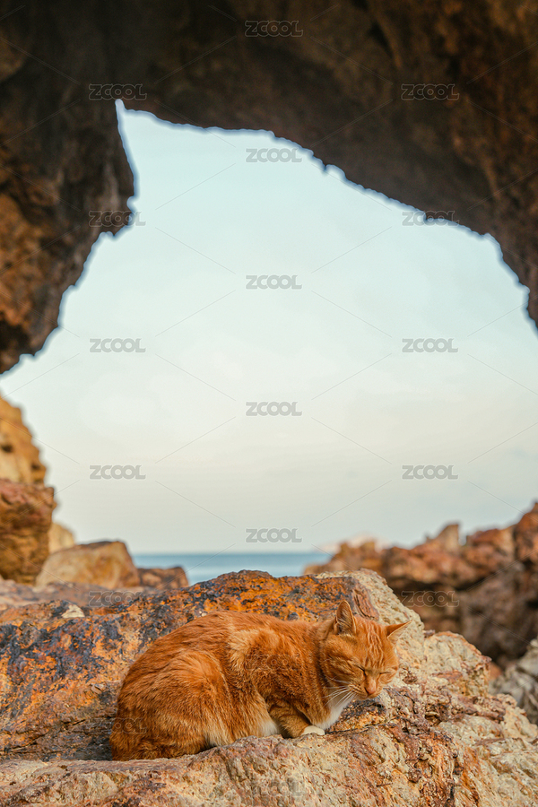 大連圣象天門和貓的同框（主預(yù)覽-8071361） - 未分類 - 站酷設(shè)計師藍小空原創(chuàng)素材 - 站酷ZCOOL