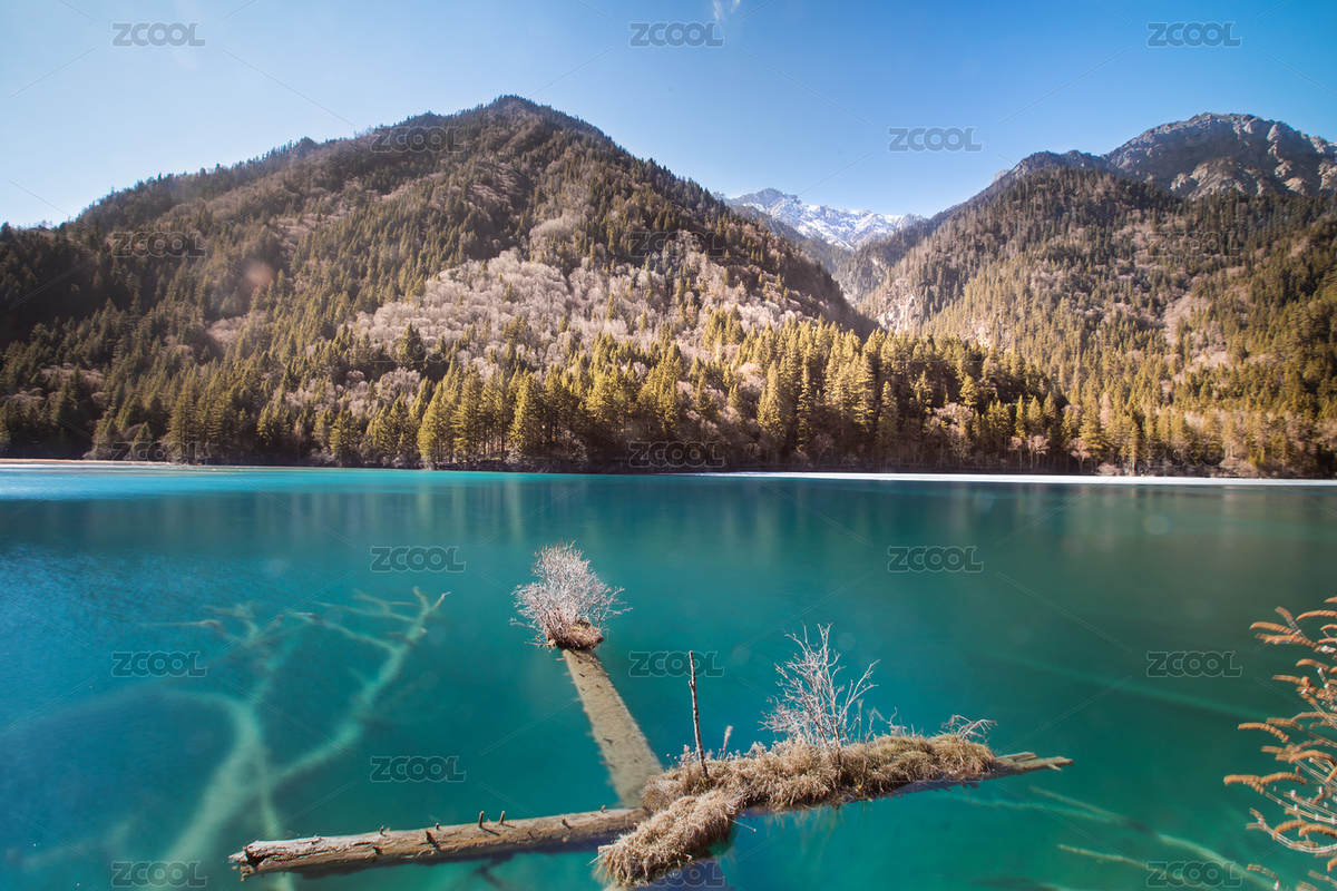 九寨溝（主預(yù)覽-9110433） - 未分類 - 站酷設(shè)計(jì)師xuzhengfang原創(chuàng)素材 - 站酷ZCOOL