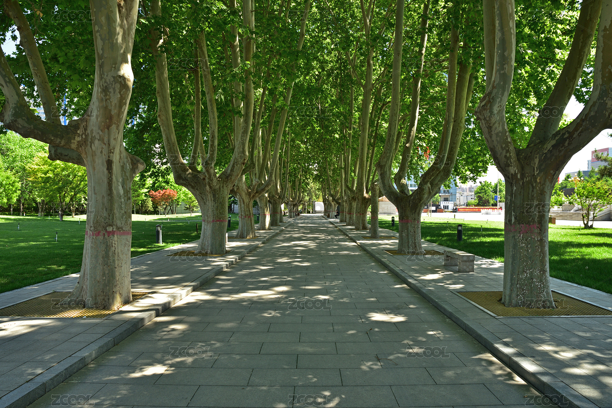 河北省石家莊市華北軍區(qū)烈士陵園（主預(yù)覽-4029280） - 未分類(lèi) - 站酷設(shè)計(jì)師river5原創(chuàng)素材 - 站酷ZCOOL