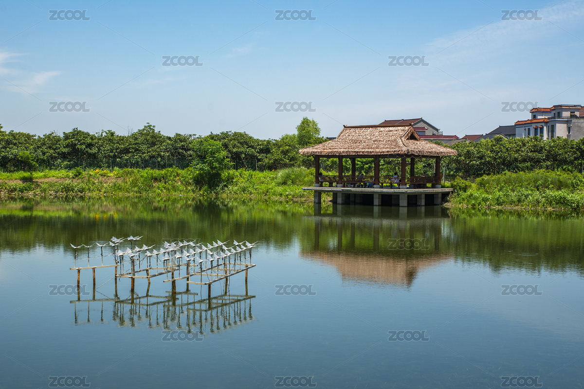 中國浙江杭州臨平塘棲鎮(zhèn)丁山村丁山湖風光（主預(yù)覽-7398731） - 未分類 - 站酷設(shè)計師等風幾許原創(chuàng)素材 - 站酷ZCOOL