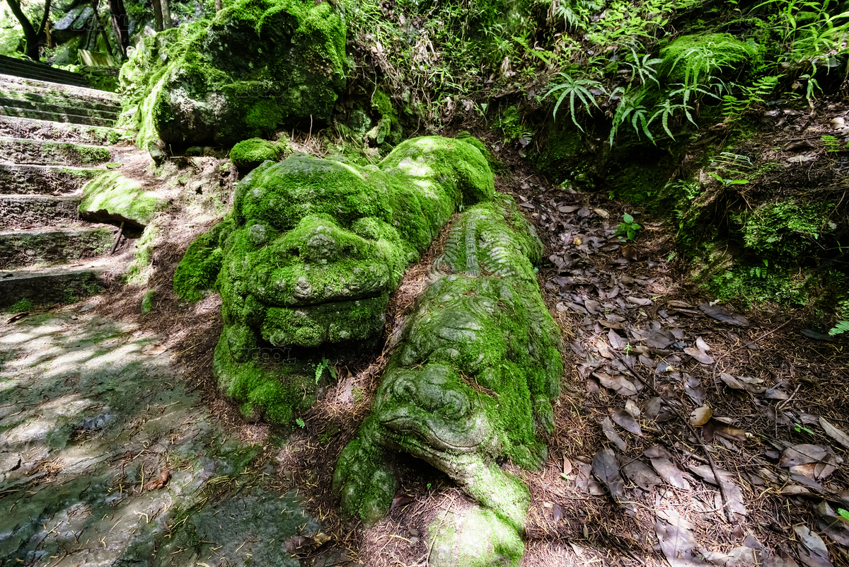 生動的石獅（主預(yù)覽-2055671） - 未分類 - 站酷設(shè)計師小胡子0871原創(chuàng)素材 - 站酷ZCOOL