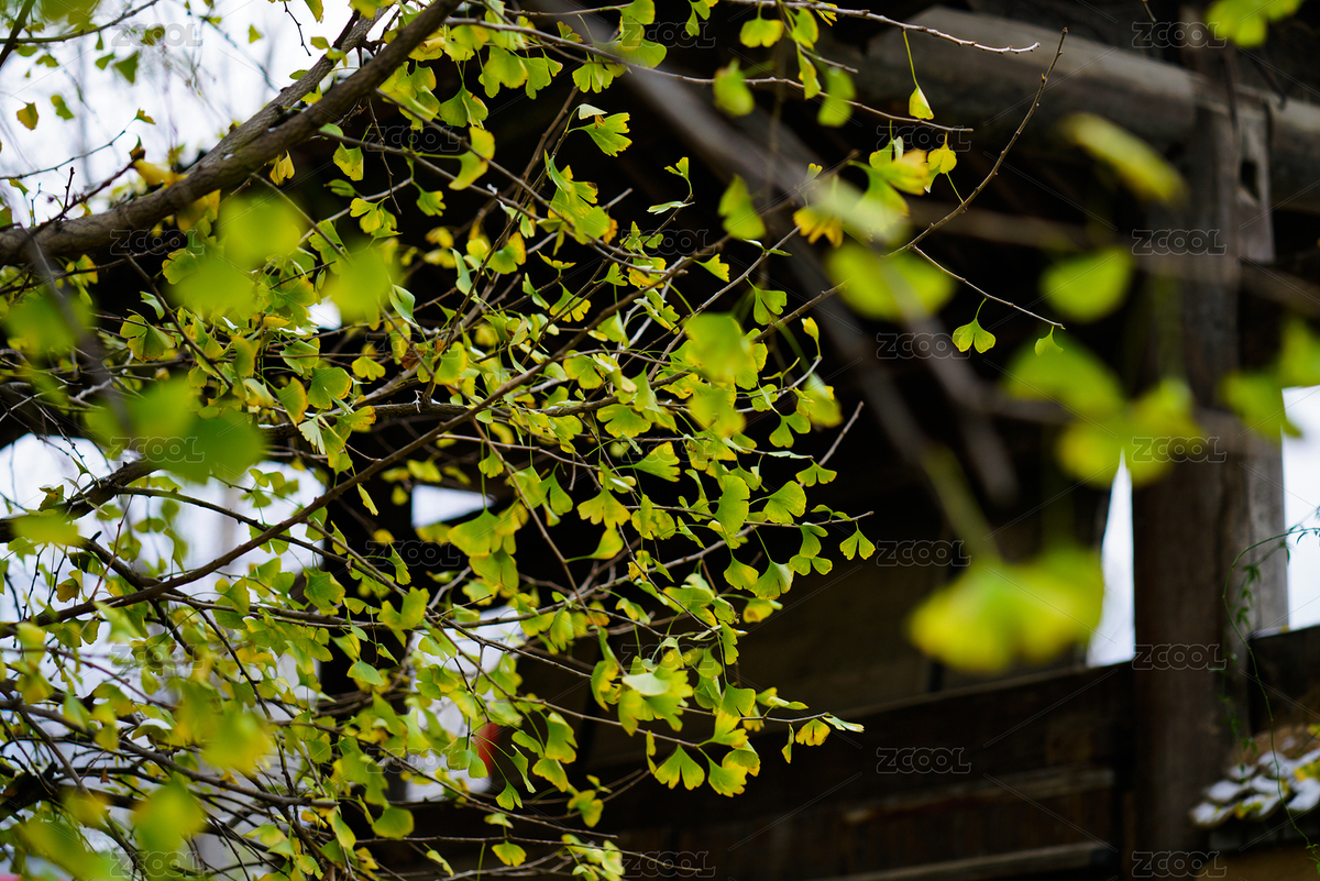 陜西西安終南山佛教寺院百塔寺（主預覽-1630274） - 未分類 - 站酷設計師尸出三壽原創(chuàng)素材 - 站酷ZCOOL
