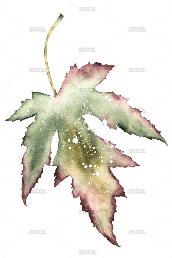 watercolor botanical illustration——leaf（主預覽-4324246） - 未分類 - 站酷設計師望秋原創(chuàng)素材 - 站酷ZCOOL