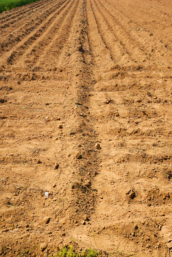 黃土地田地耕地（主預(yù)覽-7031959） - 未分類 - 站酷設(shè)計師安147123原創(chuàng)素材 - 站酷ZCOOL
