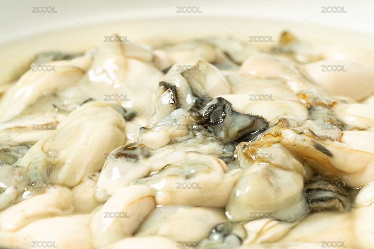 簡單背景下的新鮮生蠔肉（主預覽-5987164） - 未分類 - 站酷設(shè)計師陳鋒塵原創(chuàng)素材 - 站酷ZCOOL