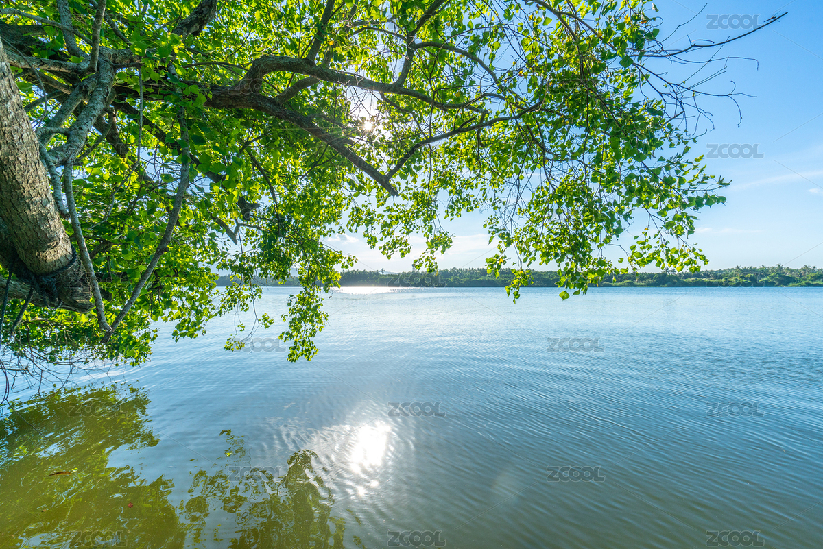 午后的河畔綠樹(shù)成蔭（主預(yù)覽-8062221） - 未分類 - 站酷設(shè)計(jì)師行走之間原創(chuàng)素材 - 站酷ZCOOL