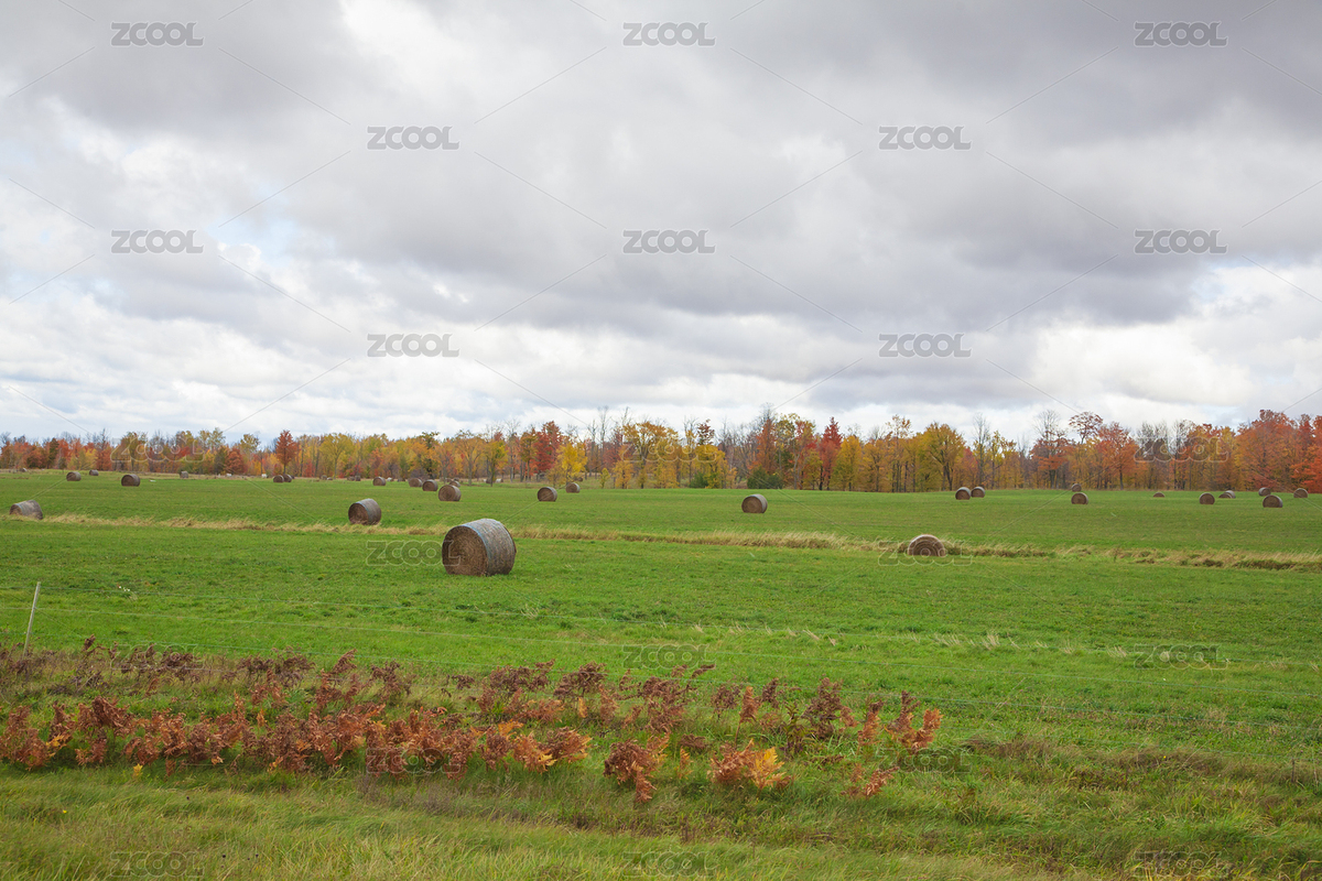 農場（主預覽-5942156） - 未分類 - 站酷設計師BenDesign原創(chuàng)素材 - 站酷ZCOOL