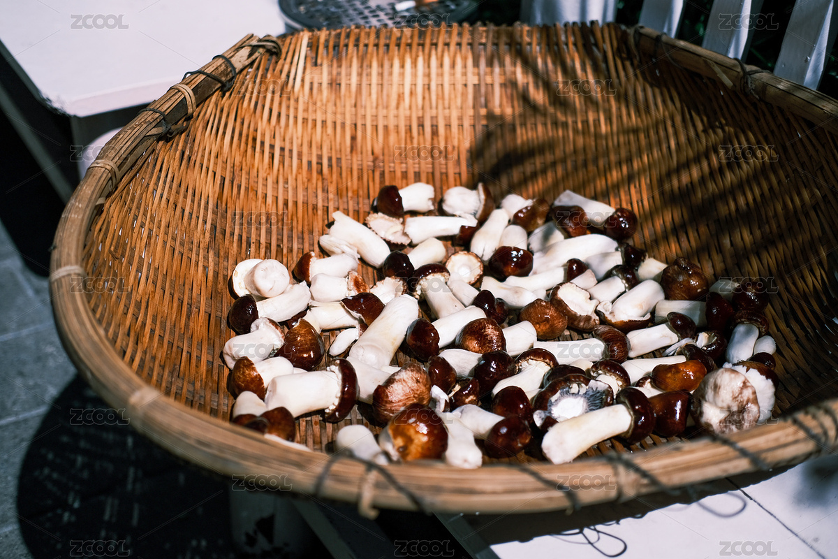 籃筐里的蘑菇（主預(yù)覽-4717701） - 未分類 - 站酷設(shè)計(jì)師等讓原創(chuàng)素材 - 站酷ZCOOL