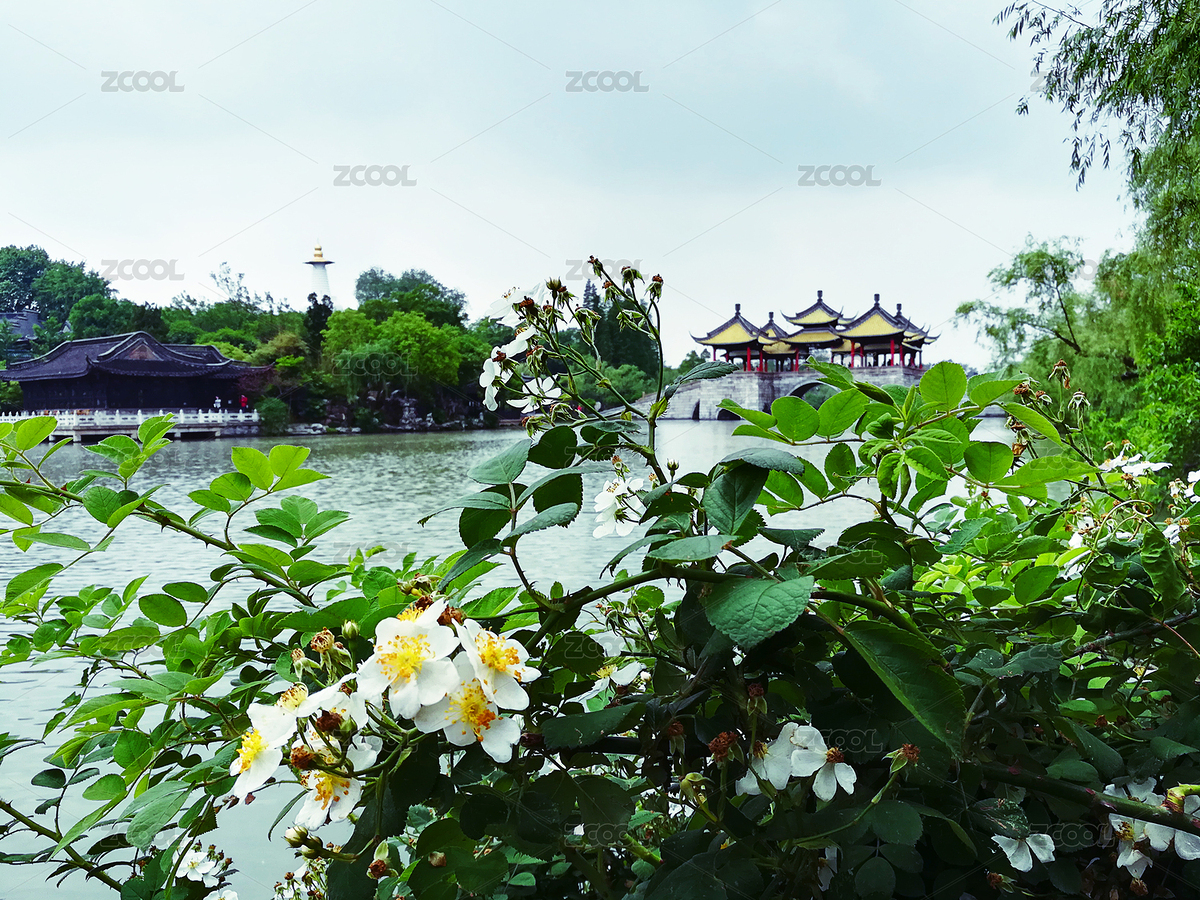 瘦西湖（主预览-1787945） - 未分类 - 站酷设计师沐梓楹原创素材 - 站酷ZCOOL