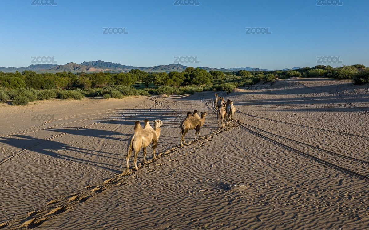 內(nèi)蒙古赤峰翁根毛都沙漠旅游度假村航拍（主預(yù)覽-11102484） - 未分類(lèi) - 站酷設(shè)計(jì)師JuikangHsieh原創(chuàng)素材 - 站酷ZCOOL