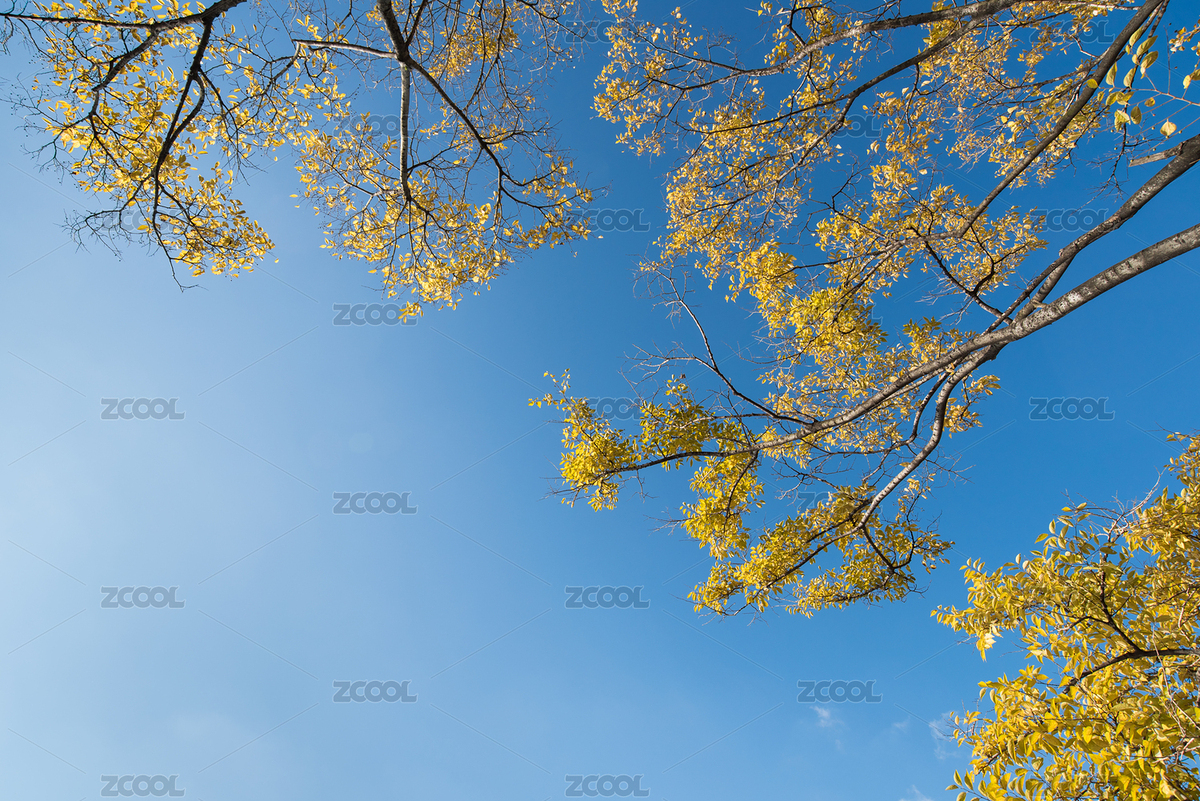 秋天（主預覽-6499779） - 未分類 - 站酷設計師kongxiangmin原創(chuàng)素材 - 站酷ZCOOL