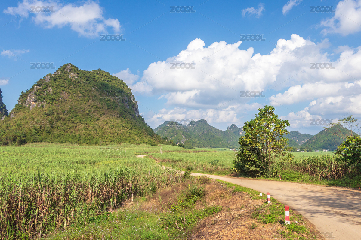 从甘蔗地中间穿过的公路（主预览-8954734） - 未分类 - 站酷设计师栏骆原创素材 - 站酷ZCOOL