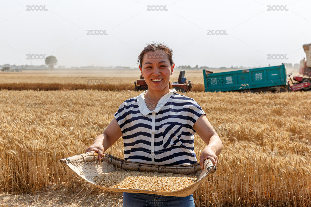 平原地區(qū)一位農(nóng)村婦女在麥田里端著一簸箕麥子（主預(yù)覽-3652401） - 未分類 - 站酷設(shè)計(jì)師lilyhello原創(chuàng)素材 - 站酷ZCOOL