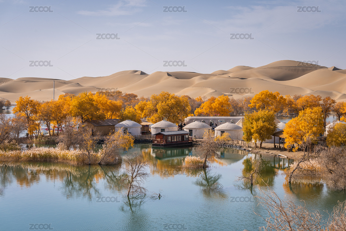 中國新疆庫爾勒尉犁葫蘆島胡楊秋景（主預(yù)覽-7386448） - 未分類 - 站酷設(shè)計(jì)師心銳志遠(yuǎn)原創(chuàng)素材 - 站酷ZCOOL