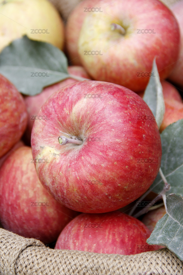 柔光下籃子里的一筐大紅蘋果清晰的蘋果紋理（主預(yù)覽-3064906） - 未分類 - 站酷設(shè)計(jì)師333小貝原創(chuàng)素材 - 站酷ZCOOL