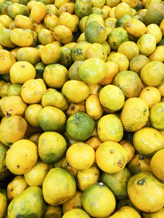 金桔（主預(yù)覽-2179792） - 未分類 - 站酷設(shè)計(jì)師wmei5881原創(chuàng)素材 - 站酷ZCOOL