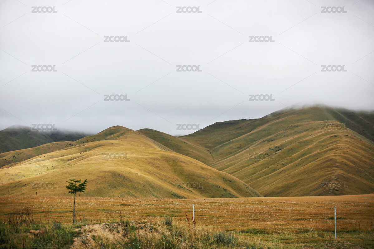 廣闊的大草原（主預(yù)覽-9533854） - 未分類 - 站酷設(shè)計(jì)師長腿先生原創(chuàng)素材 - 站酷ZCOOL