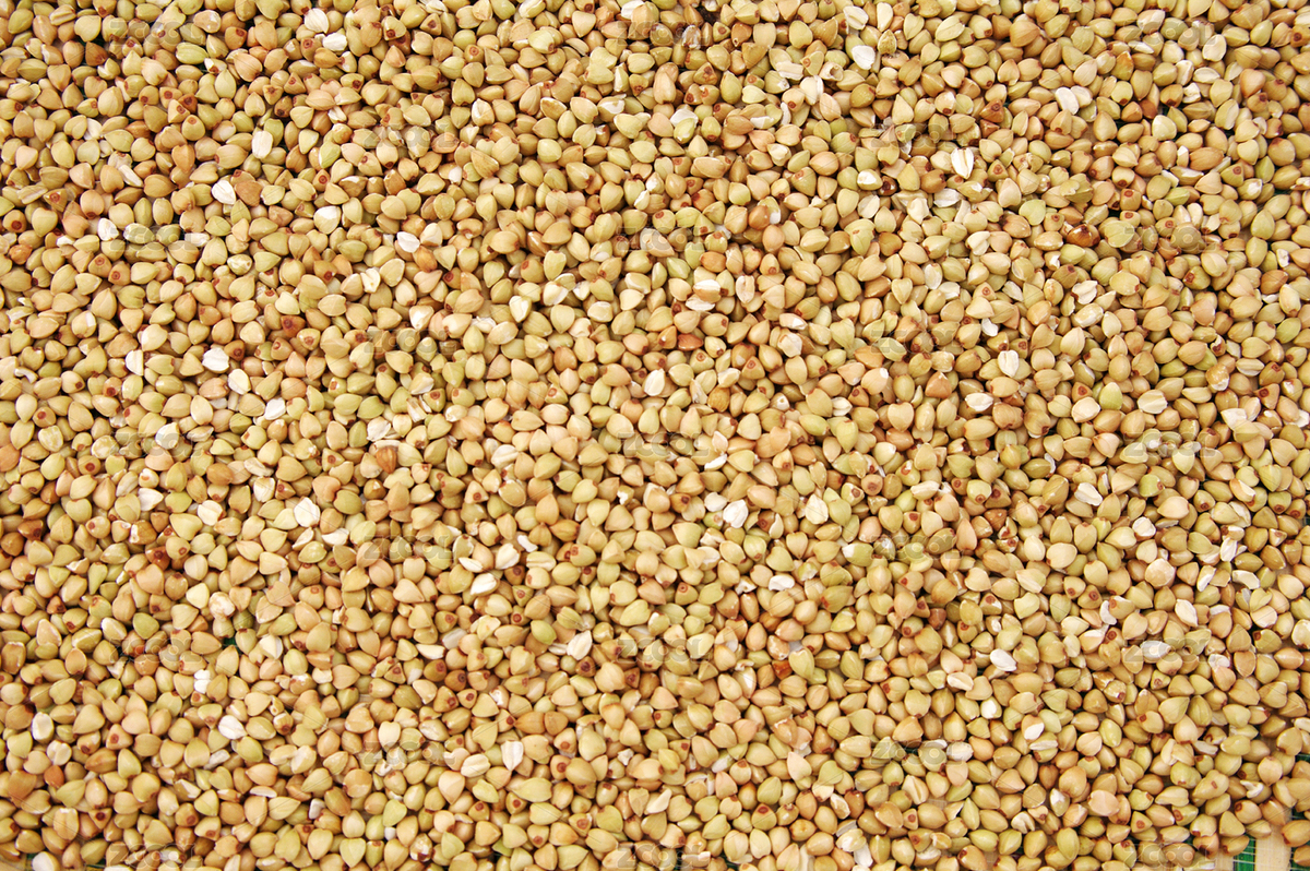 蕎麥米（主預(yù)覽-8189890） - 未分類(lèi) - 站酷設(shè)計(jì)師wmei5881原創(chuàng)素材 - 站酷ZCOOL