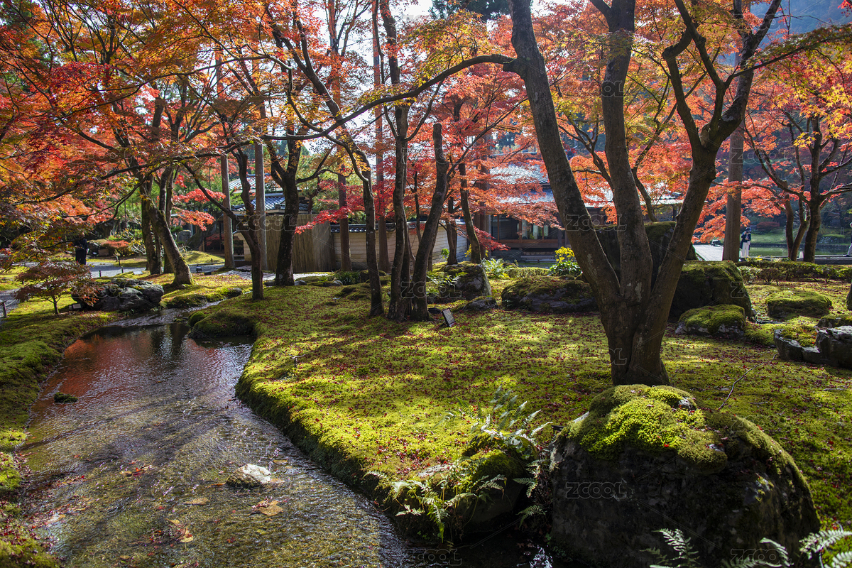 日本京都松山花園庭院的秋季風(fēng)光（主預(yù)覽-12615430） - 未分類 - 站酷設(shè)計(jì)師攝影師北川原創(chuàng)素材 - 站酷ZCOOL