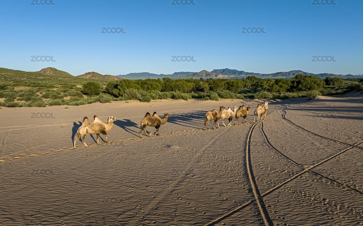 內(nèi)蒙古赤峰翁根毛都沙漠旅游度假村航拍（主預(yù)覽-11102479） - 未分類 - 站酷設(shè)計師JuikangHsieh原創(chuàng)素材 - 站酷ZCOOL