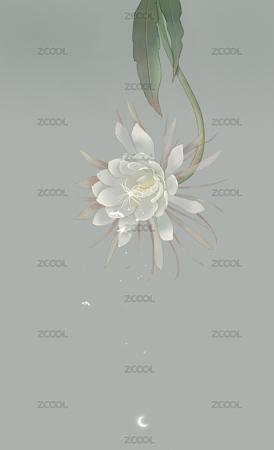 白色的曇花（主預覽-1036836） - 未分類 - 站酷設計師拾荒小鹿菌原創(chuàng)素材 - 站酷ZCOOL