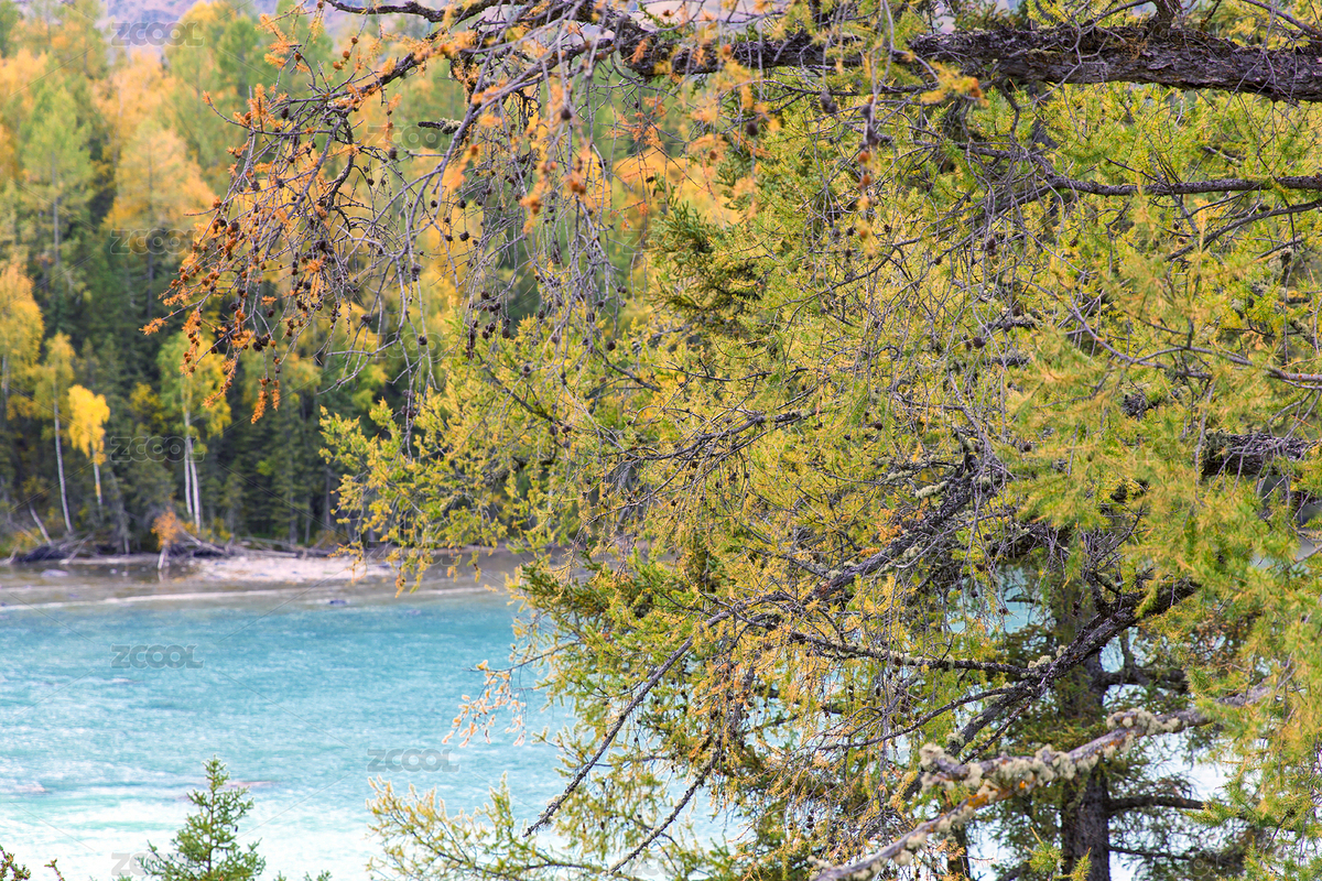 秋季（主預(yù)覽-1449738） - 未分類 - 站酷設(shè)計(jì)師紅好Howie原創(chuàng)素材 - 站酷ZCOOL