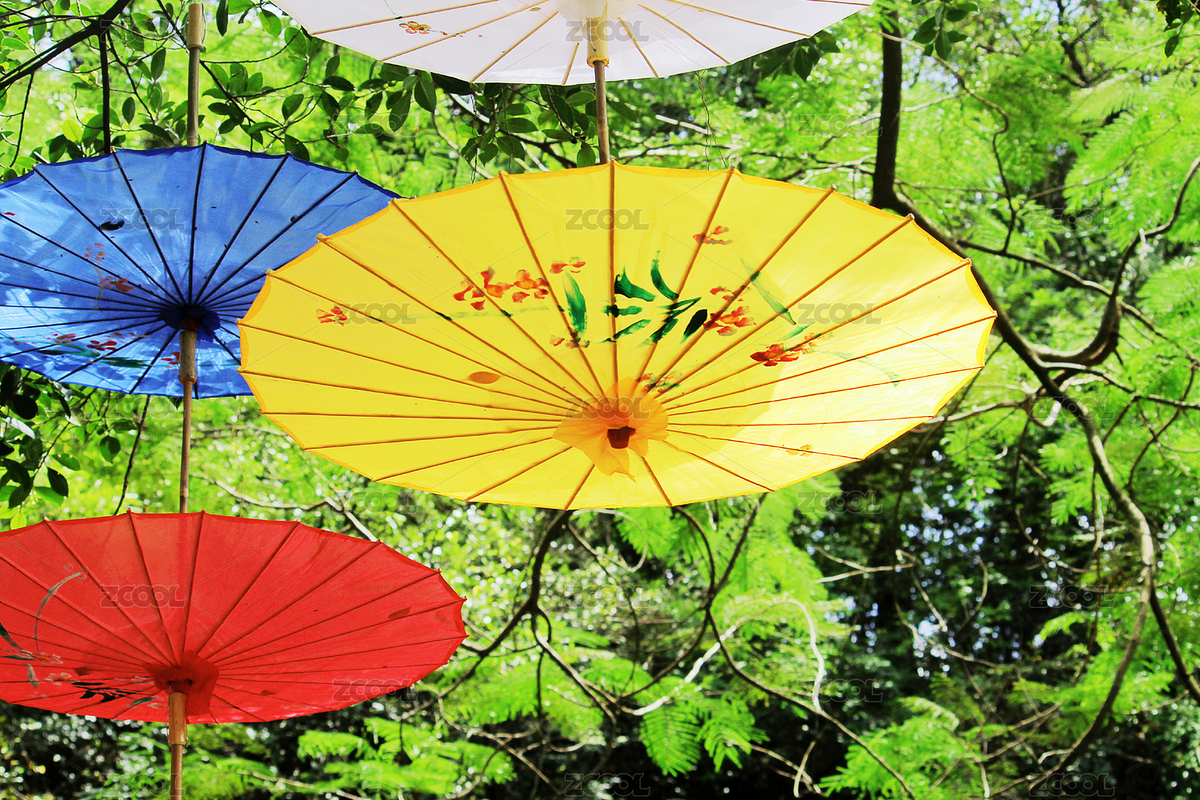 挂在树上的漂亮中国油纸伞（主预览-6274724） - 未分类 - 站酷设计师WUWUDEFENSI原创素材 - 站酷ZCOOL