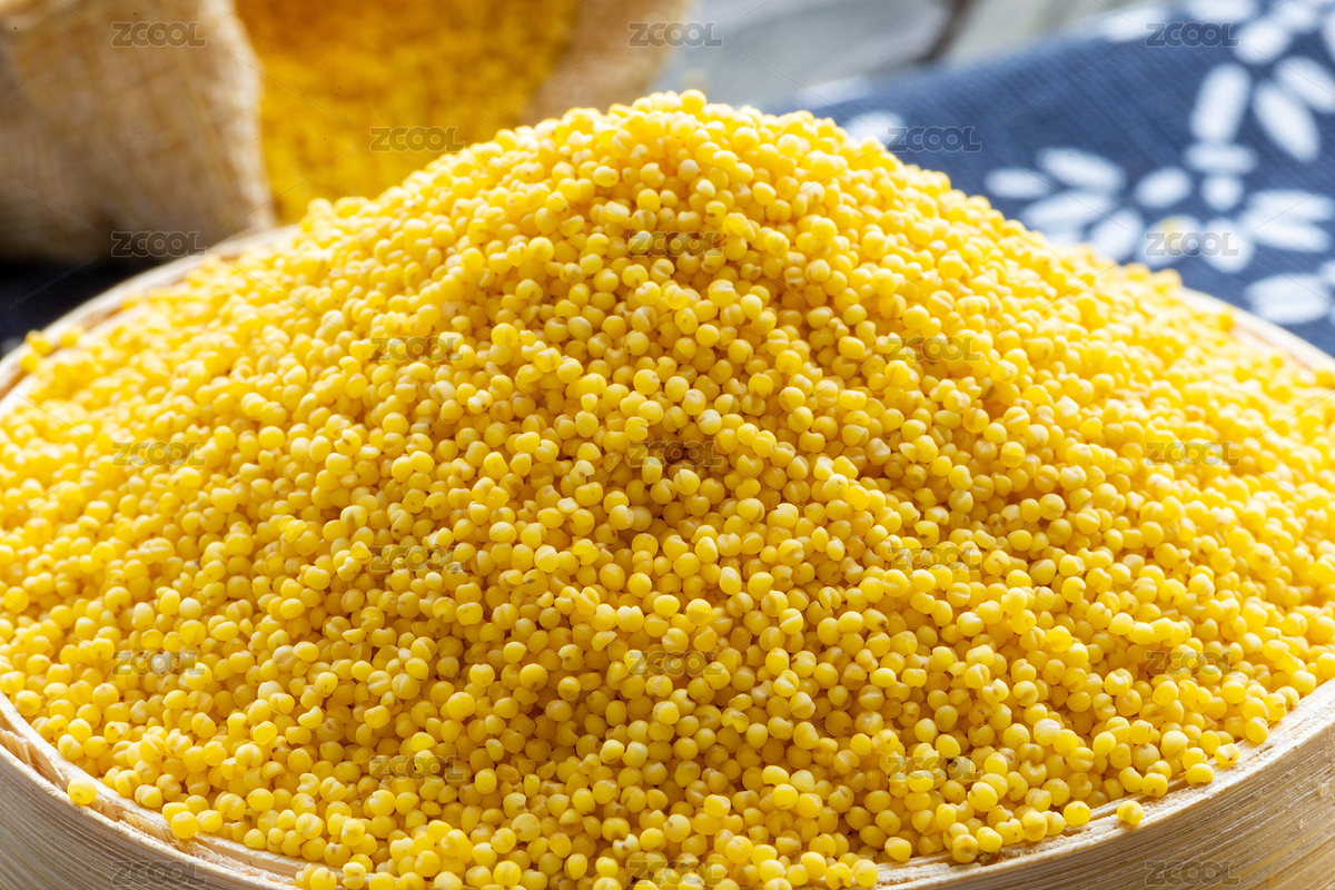 新鮮的東北有機(jī)黃小米（主預(yù)覽-5641885） - 未分類 - 站酷設(shè)計(jì)師qianhe24原創(chuàng)素材 - 站酷ZCOOL