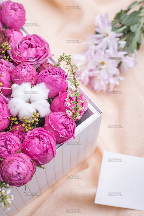 鮮花（主預(yù)覽-1938735） - 未分類 - 站酷設(shè)計師云端工作室原創(chuàng)素材 - 站酷ZCOOL