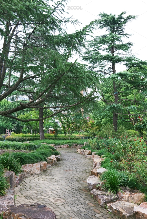 公園里的小路和健步道 上海三泉公園（主預(yù)覽-10679726） - 未分類 - 站酷設(shè)計(jì)師ZZIjpC7sob原創(chuàng)素材 - 站酷ZCOOL
