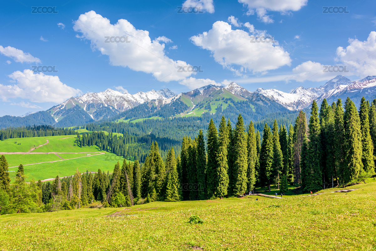 中國(guó)新疆伊犁庫(kù)爾德寧齊夢(mèng)德風(fēng)光（主預(yù)覽-8890038） - 未分類 - 站酷設(shè)計(jì)師健忘的行攝世界原創(chuàng)素材 - 站酷ZCOOL