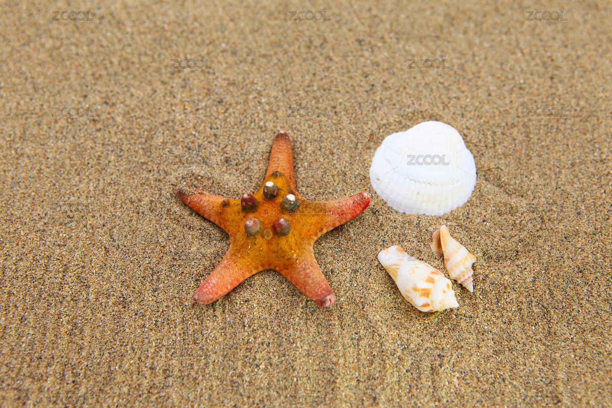 海灘（主預(yù)覽-6783055） - 未分類 - 站酷設(shè)計(jì)師老路上來原創(chuàng)素材 - 站酷ZCOOL