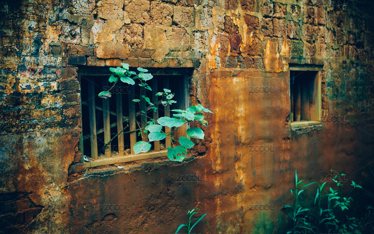 破舊荒蕪的老屋木窗長出植物（主預(yù)覽-8890332） - 未分類 - 站酷設(shè)計師曇華碎影原創(chuàng)素材 - 站酷ZCOOL