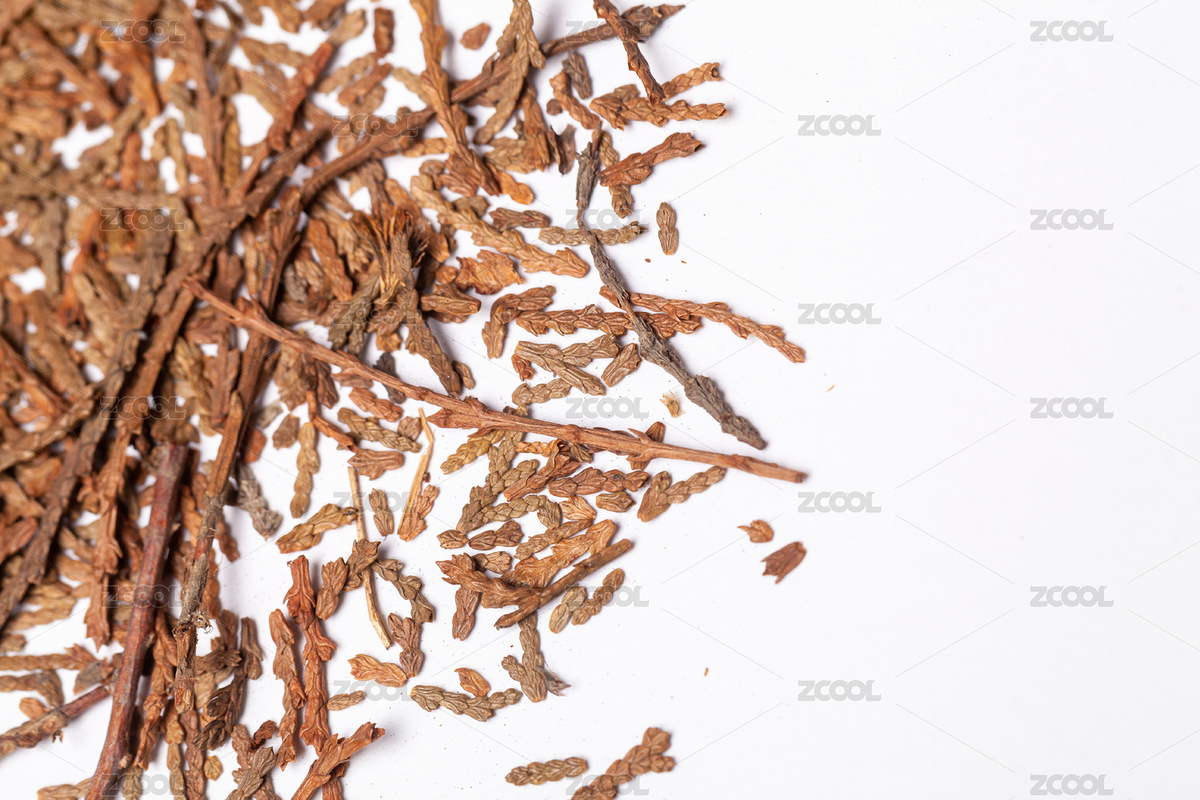 白色背景下的中藥材側(cè)柏葉（主預(yù)覽-4930892） - 未分類 - 站酷設(shè)計師QFStudio原創(chuàng)素材 - 站酷ZCOOL