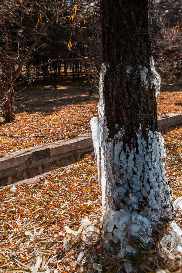 冰花（主預(yù)覽-4875353） - 未分類 - 站酷設(shè)計(jì)師鳳之靈原創(chuàng)素材 - 站酷ZCOOL