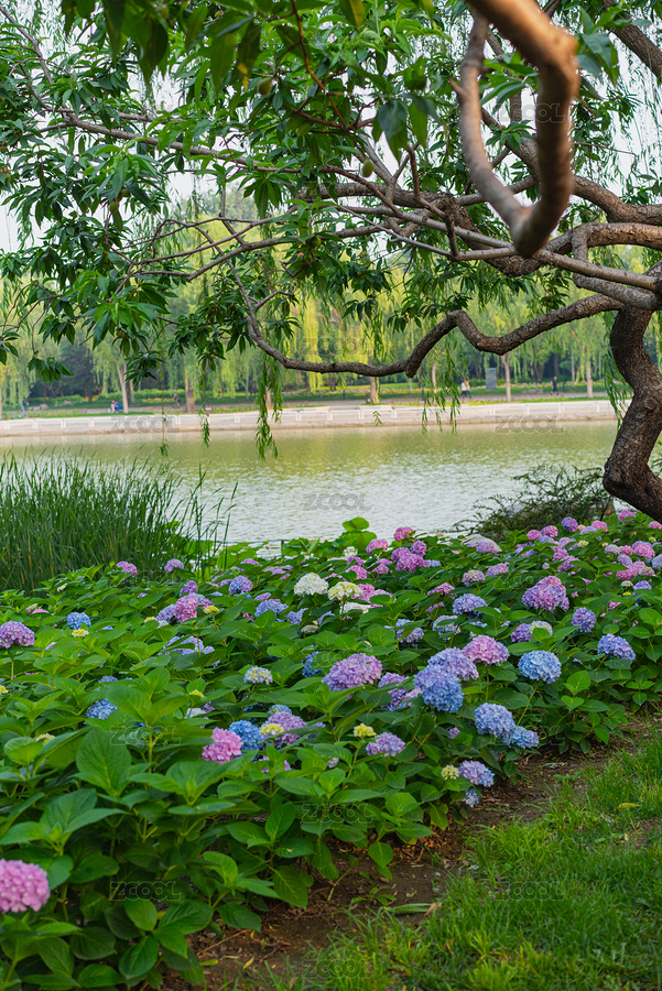 自然风景（主预览-4932619） - 未分类 - 站酷设计师大树先生爱拍照原创素材 - 站酷ZCOOL