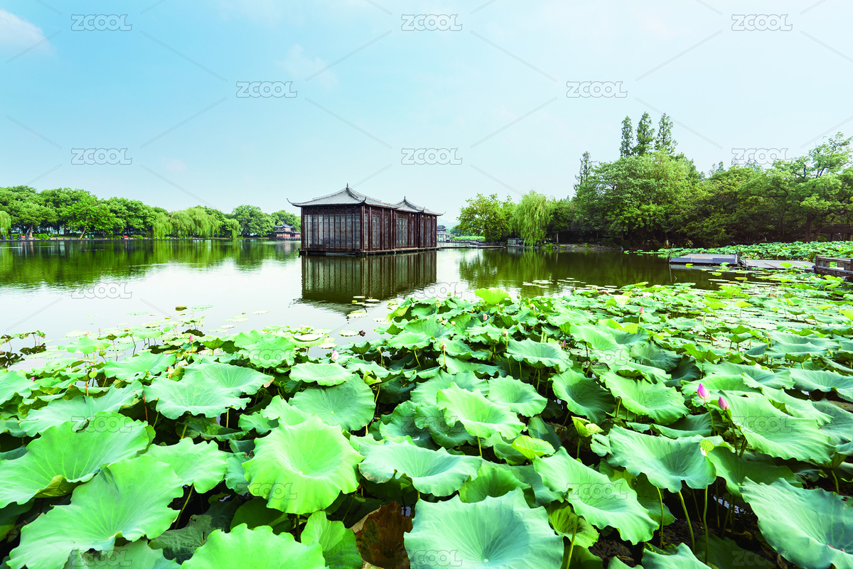 曲院風(fēng)荷（主預(yù)覽-5652105） - 未分類 - 站酷設(shè)計師口口Hyman原創(chuàng)素材 - 站酷ZCOOL