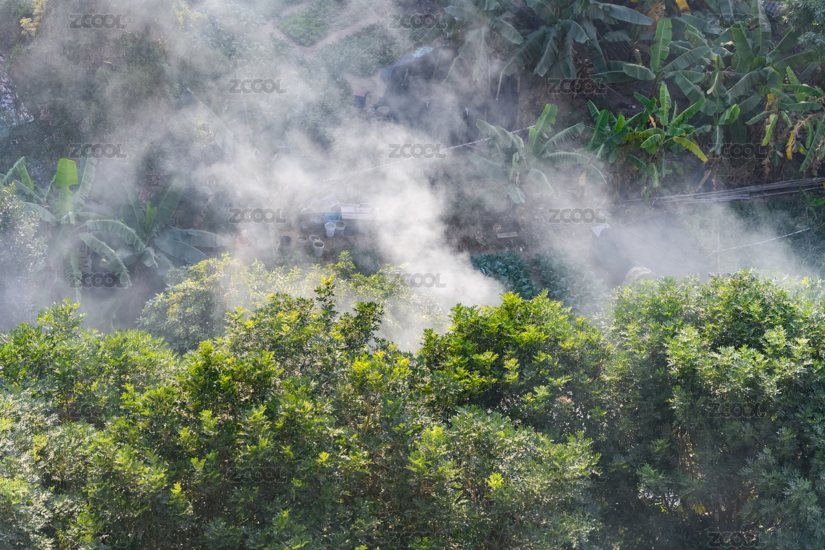 树丛里冒出的烟（主预览-5897527） - 未分类 - 站酷设计师harveylaw原创素材 - 站酷ZCOOL