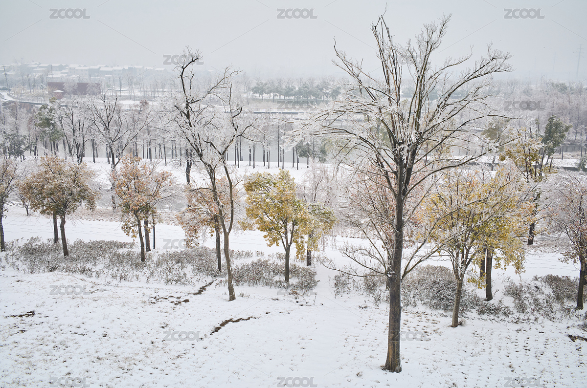 皚皚白雪中的濕地生態(tài)公園（主預(yù)覽-8002898） - 未分類 - 站酷設(shè)計(jì)師蔚藍(lán)的白日夢(mèng)原創(chuàng)素材 - 站酷ZCOOL