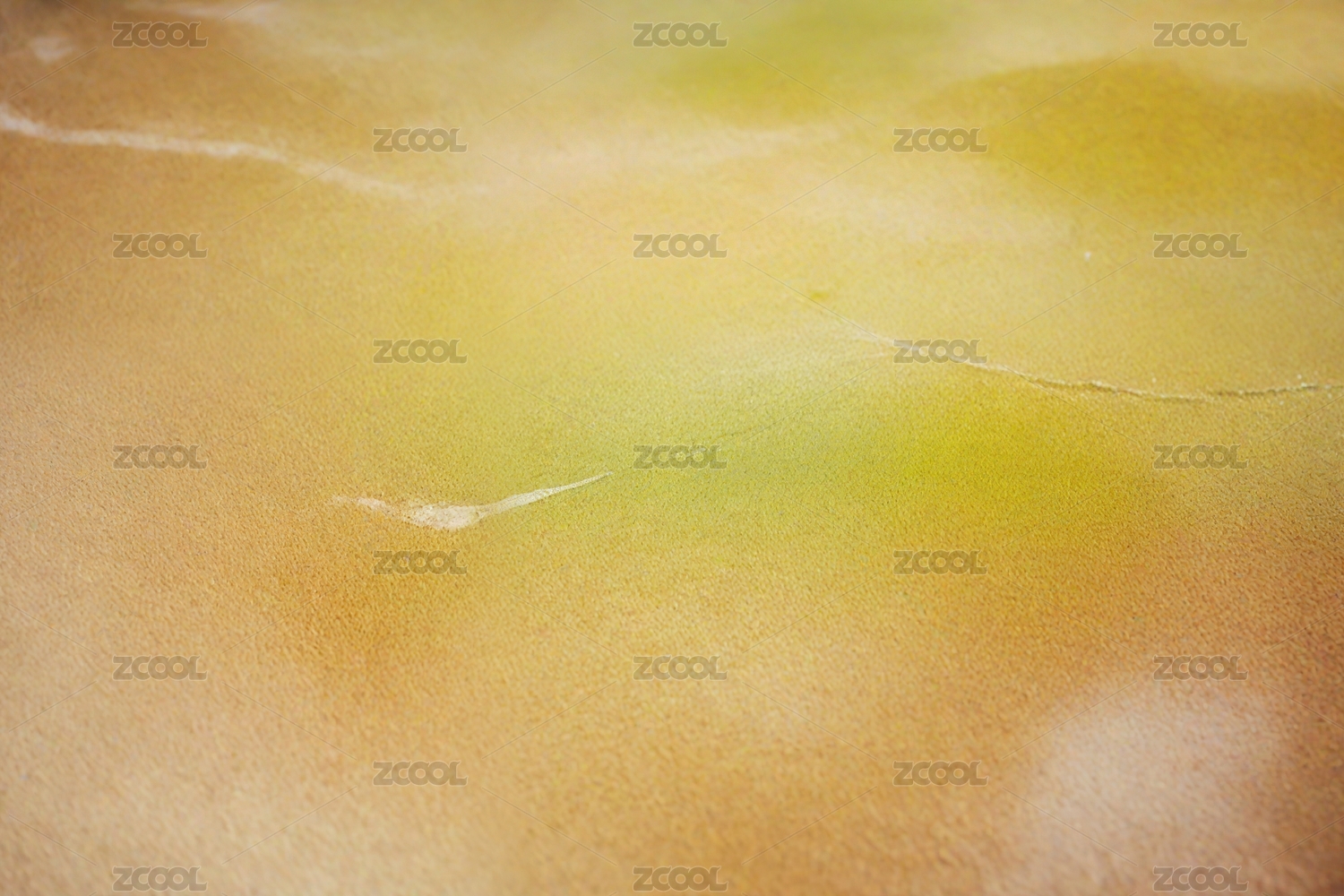 皮肤表面细节主题