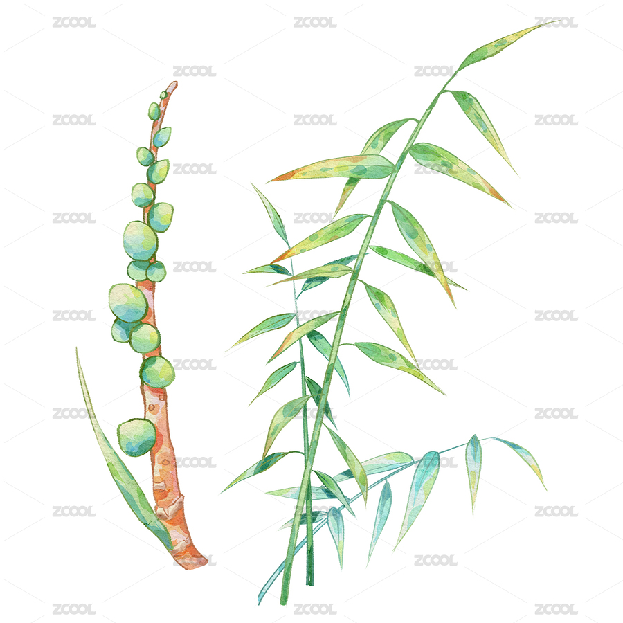 益智手繪中藥材水彩插畫（主預覽-3895444） - 未分類 - 站酷設計師見手青303原創(chuàng)素材 - 站酷ZCOOL