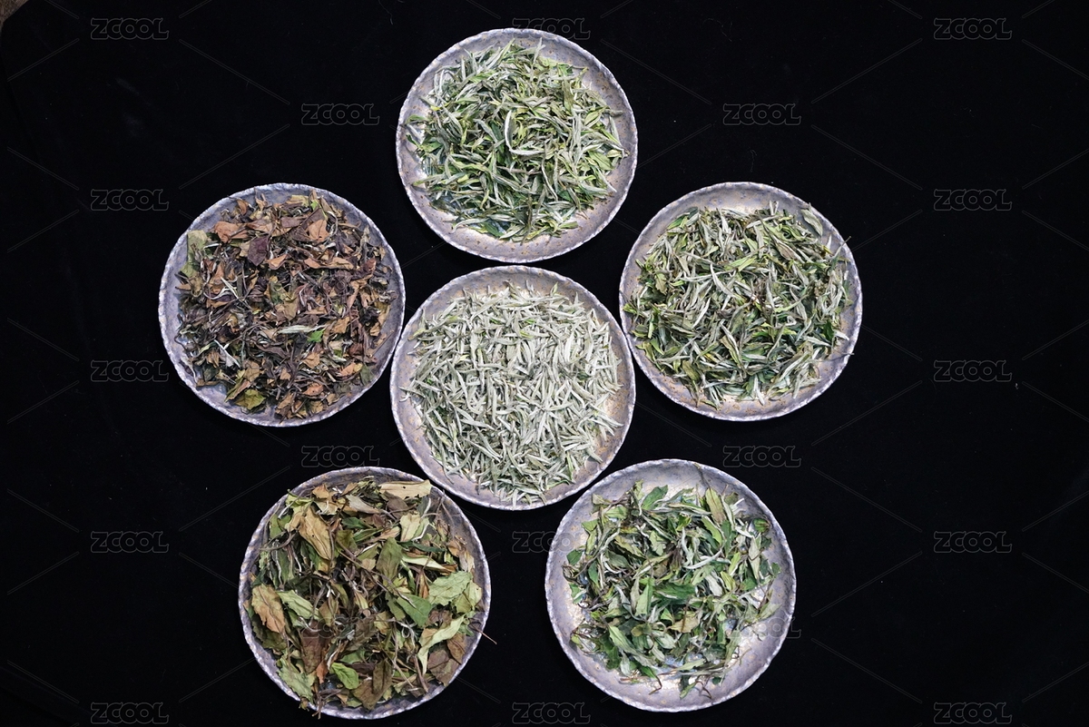 福鼎白茶（主預覽-3680355） - 未分類 - 站酷設計師茗時今茶品牌策劃原創(chuàng)素材 - 站酷ZCOOL