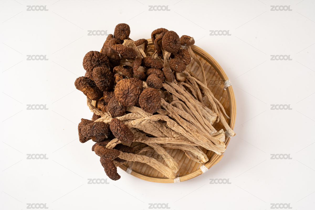 茶樹菇干貨白底圖（主預(yù)覽-3752931） - 未分類 - 站酷設(shè)計師hummingbird2原創(chuàng)素材 - 站酷ZCOOL