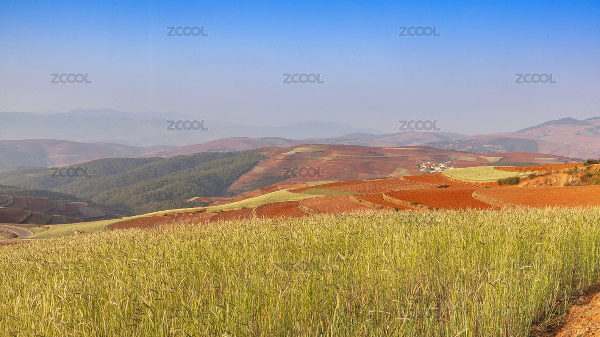 云南昆明東川紅土地形地貌蜿蜒田野自然景觀（主預(yù)覽-8370593） - 未分類 - 站酷設(shè)計(jì)師綠色原野原創(chuàng)素材 - 站酷ZCOOL
