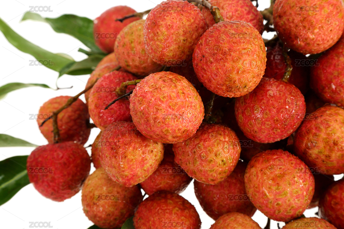 白背景上的新鮮荔枝（主預(yù)覽-8023884） - 未分類 - 站酷設(shè)計(jì)師萊尚攝影原創(chuàng)素材 - 站酷ZCOOL