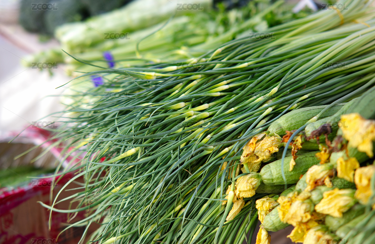 菜市場新鮮的蔬菜（主預(yù)覽-6862733） - 未分類 - 站酷設(shè)計師小羽怪原創(chuàng)素材 - 站酷ZCOOL