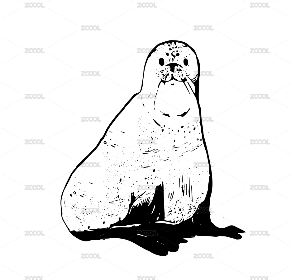 線條手繪可愛的海豹鋼筆畫（銅版畫）（矢量圖）（主預覽-1253091） - 未分類 - 站酷設計師奶罐八千步原創(chuàng)素材 - 站酷ZCOOL