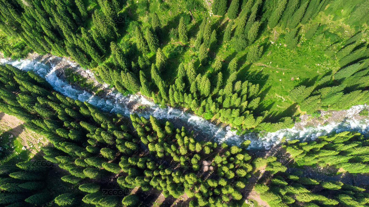 航拍森林里的溪流（主預覽-3503758） - 未分類 - 站酷設計師快門俠yang原創(chuàng)素材 - 站酷ZCOOL