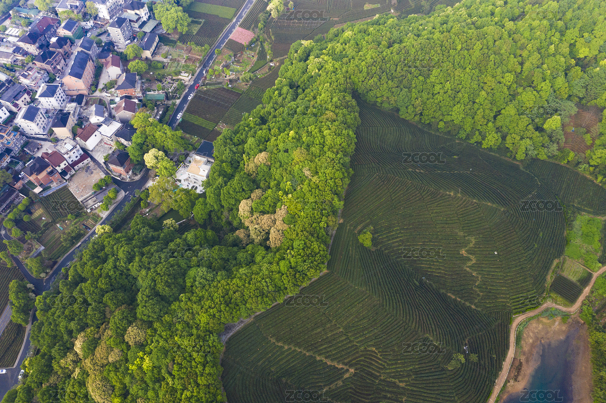 浙江省杭州市西湖區(qū)龍塢鎮(zhèn)茶園航拍（主預(yù)覽-5743894） - 未分類 - 站酷設(shè)計師zhl430430原創(chuàng)素材 - 站酷ZCOOL